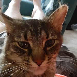 Meet your Posher, Tammy